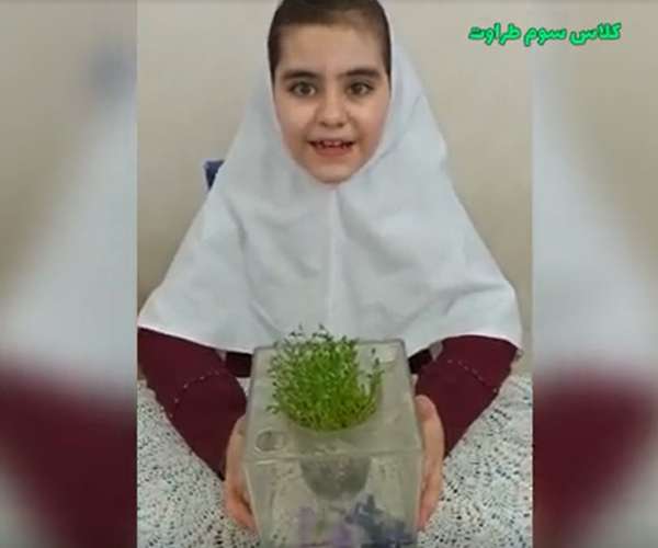 آموزش سبز کردن سبزه سفره هفت سین